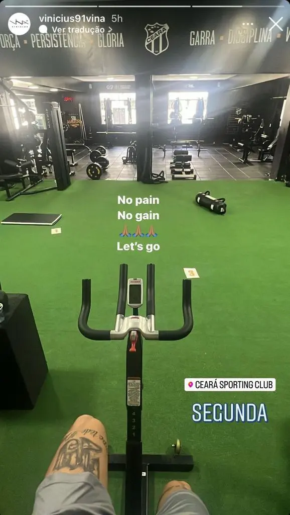 Foto de Vina em recuperação