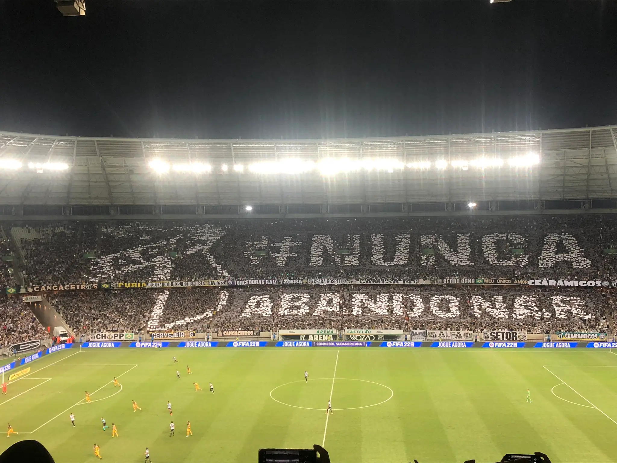 Imagem aberta do mosaico da torcida do Ceará no Castelão