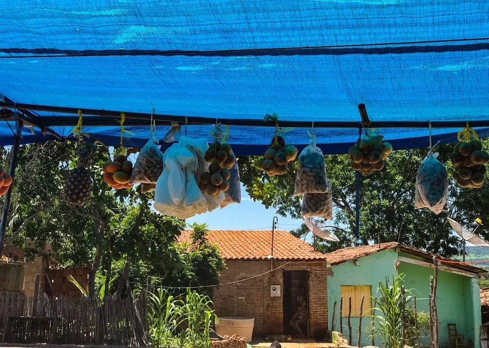 Localizada no Sul do Ceará, a Nova Olinda cearense é distante 230 km da Nova Olinda da paraibana.