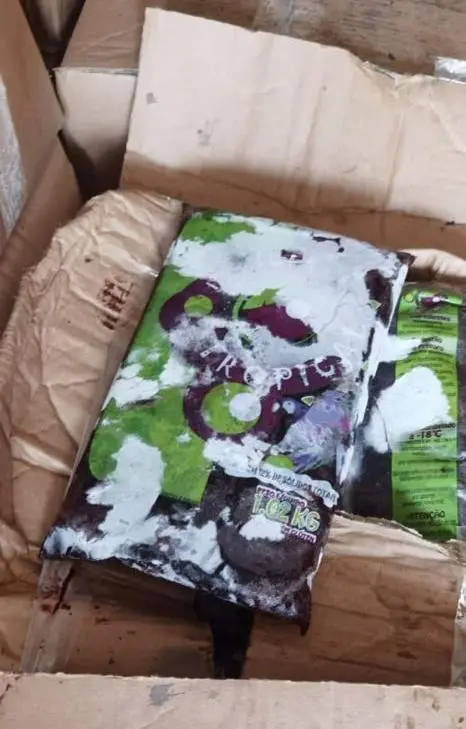 A DEA interceptou o container em Cristóbal, no Panamá, e inspecionou a carga de açaí, com ajuda de um cão farejador, mas não encontrou nenhum ilícito