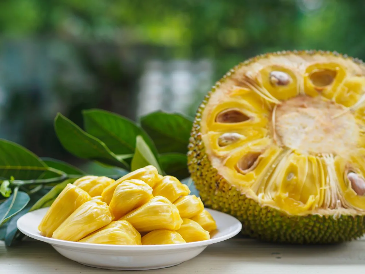 Caroços da jaca também são ricos em fibras, proteínas e carboidratos