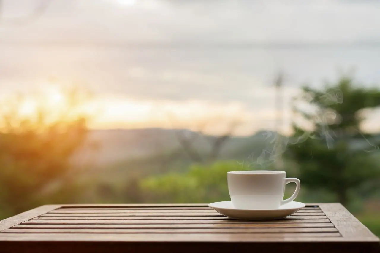 xícara de chá em paisagem de vegetação