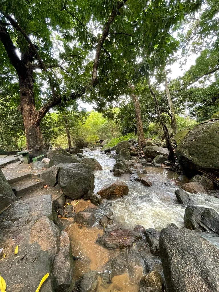 O complexo conta com cinco piscinas, sendo quatro naturais, uma cachoeira e duas bicas
