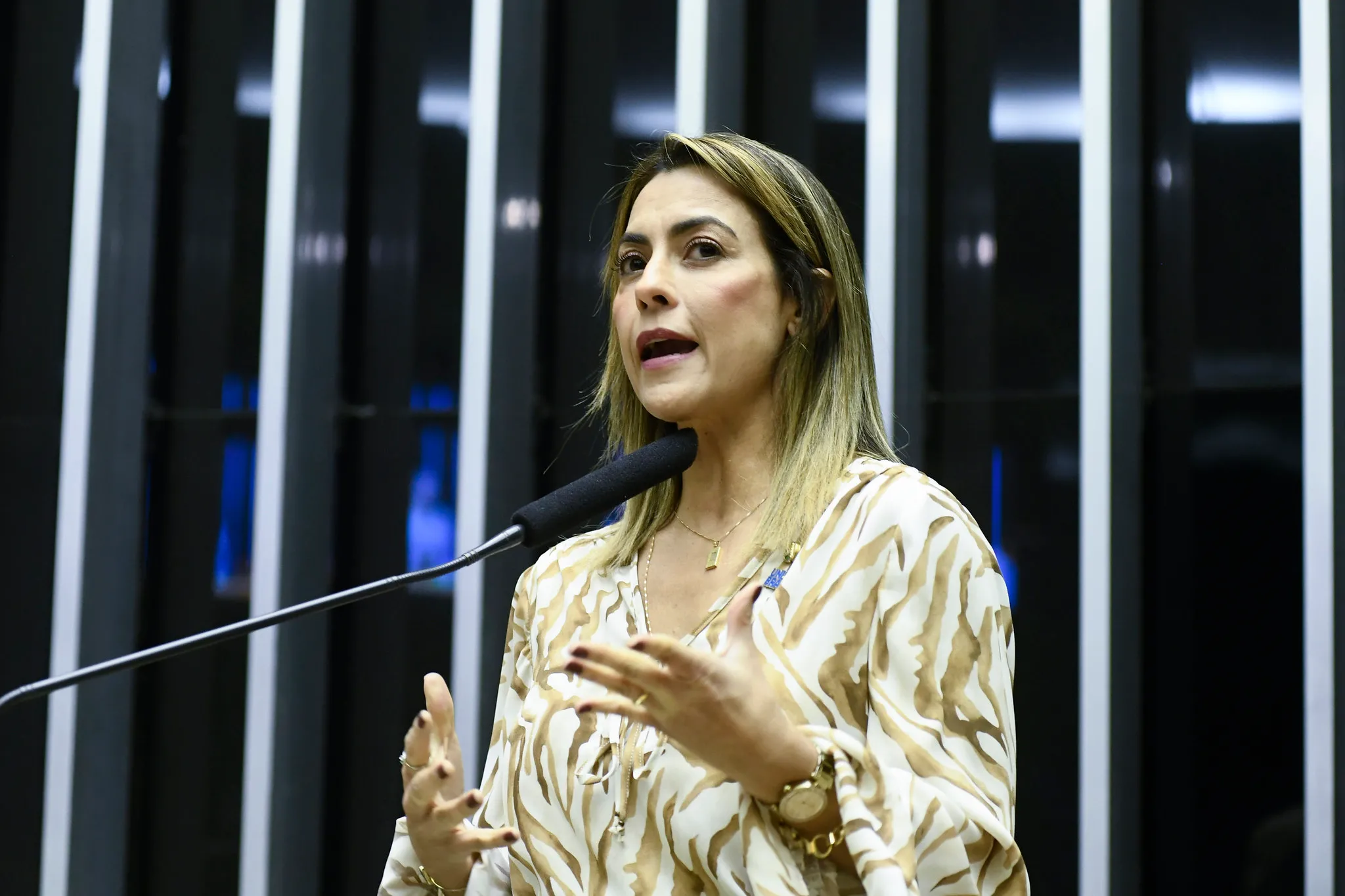 Candidata se manifestou sobre o 7 de Setembro nas redes sociais