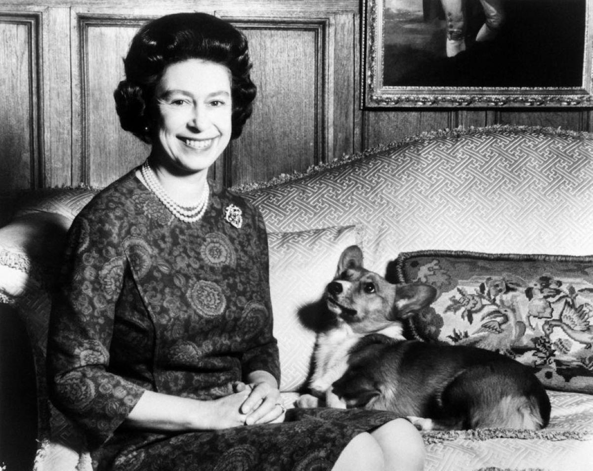 Foto antiga em preto e branco da Rainha Elizabeth II e seu corgi