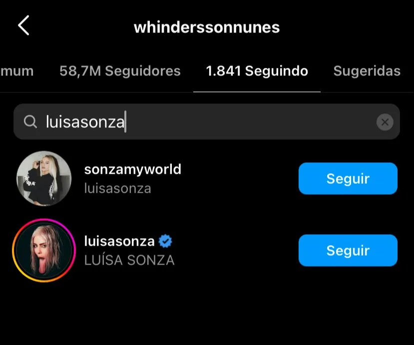Whindersson Nunes segue Luísa Sonza no Instagram