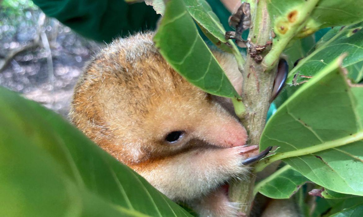 NÃO CHEGUE PERTO DESSE ANIMAL!