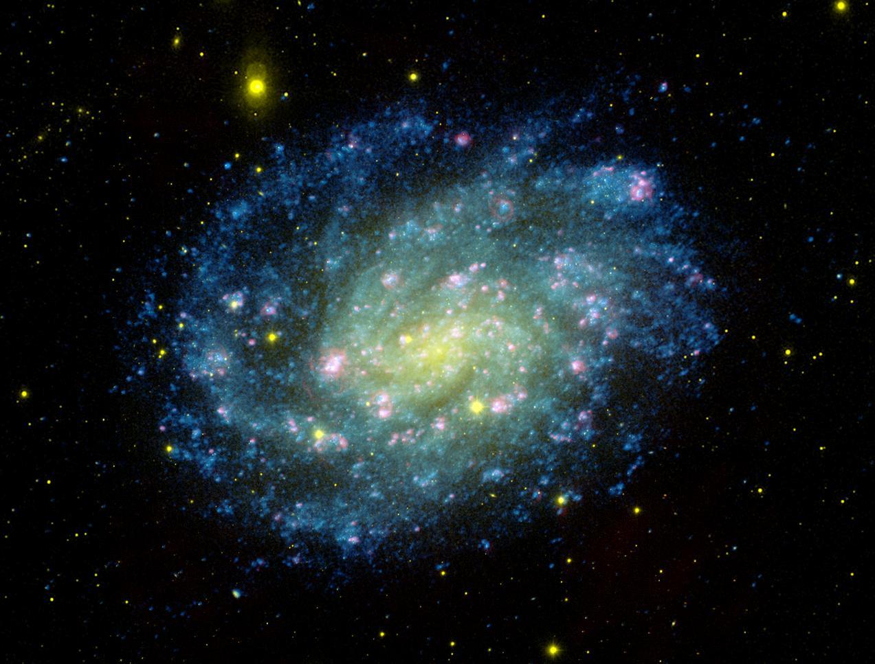 Imagem de uma galáxia espiral com braços espirais pontilhados de estrelas azuis de intensidade variável. O núcleo da galáxia é mais brilhante e é onde as estrelas aparecem verde-amarelo.  A imagem foi tirada pelo satélite Galaxy Evolution Explorer, ou GALEX.