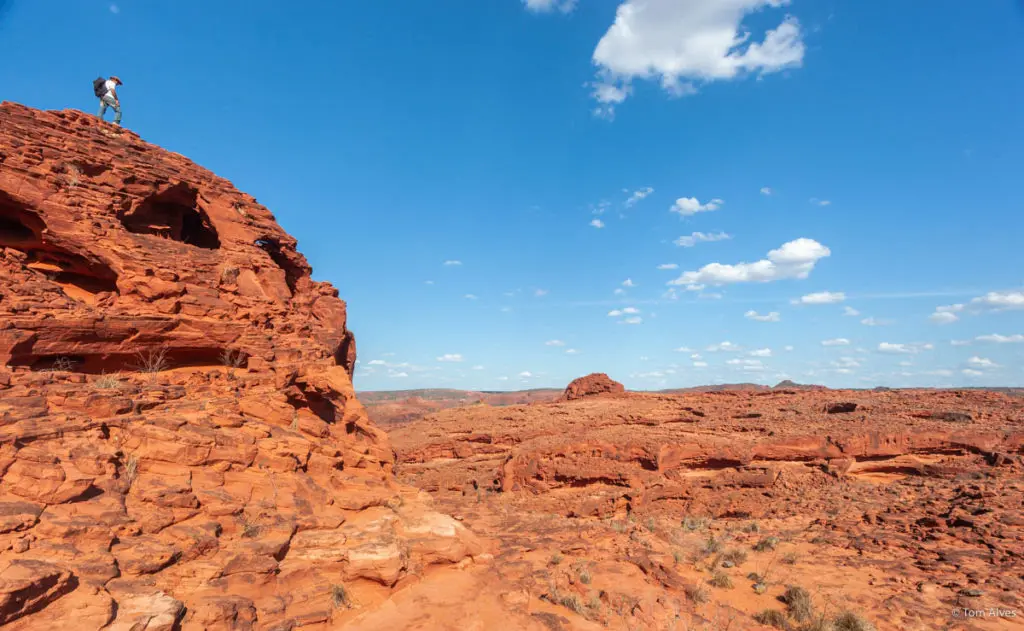 Esta é uma imagem Raso da Catarina