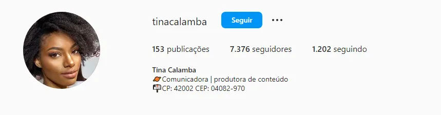Perfil de Tina no Instagram