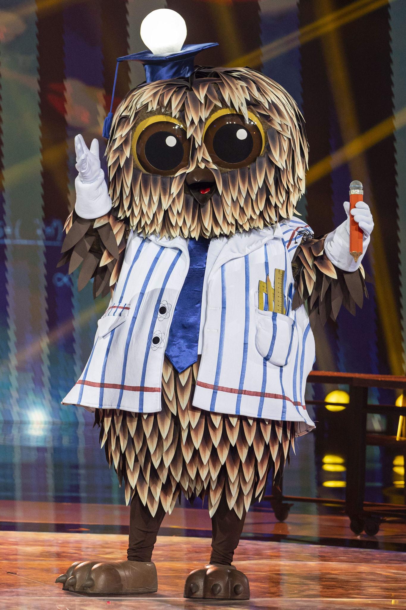 esta é uma imagem da coruja 'the masked singer'