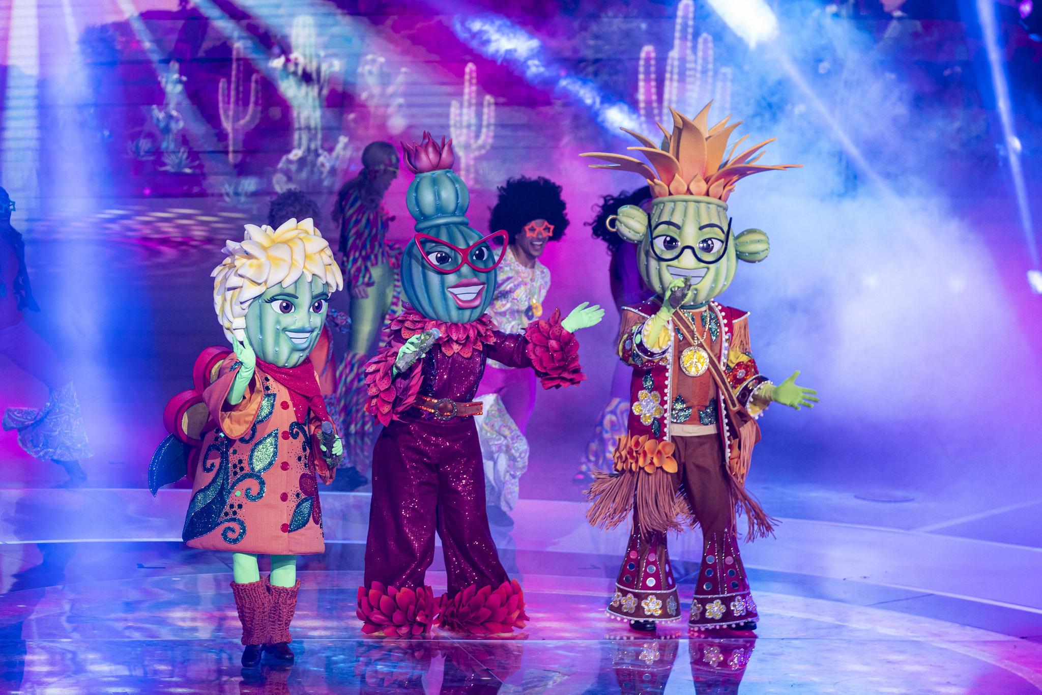 esta é uma imagem dos suculentos 'the masked singer Brasil'