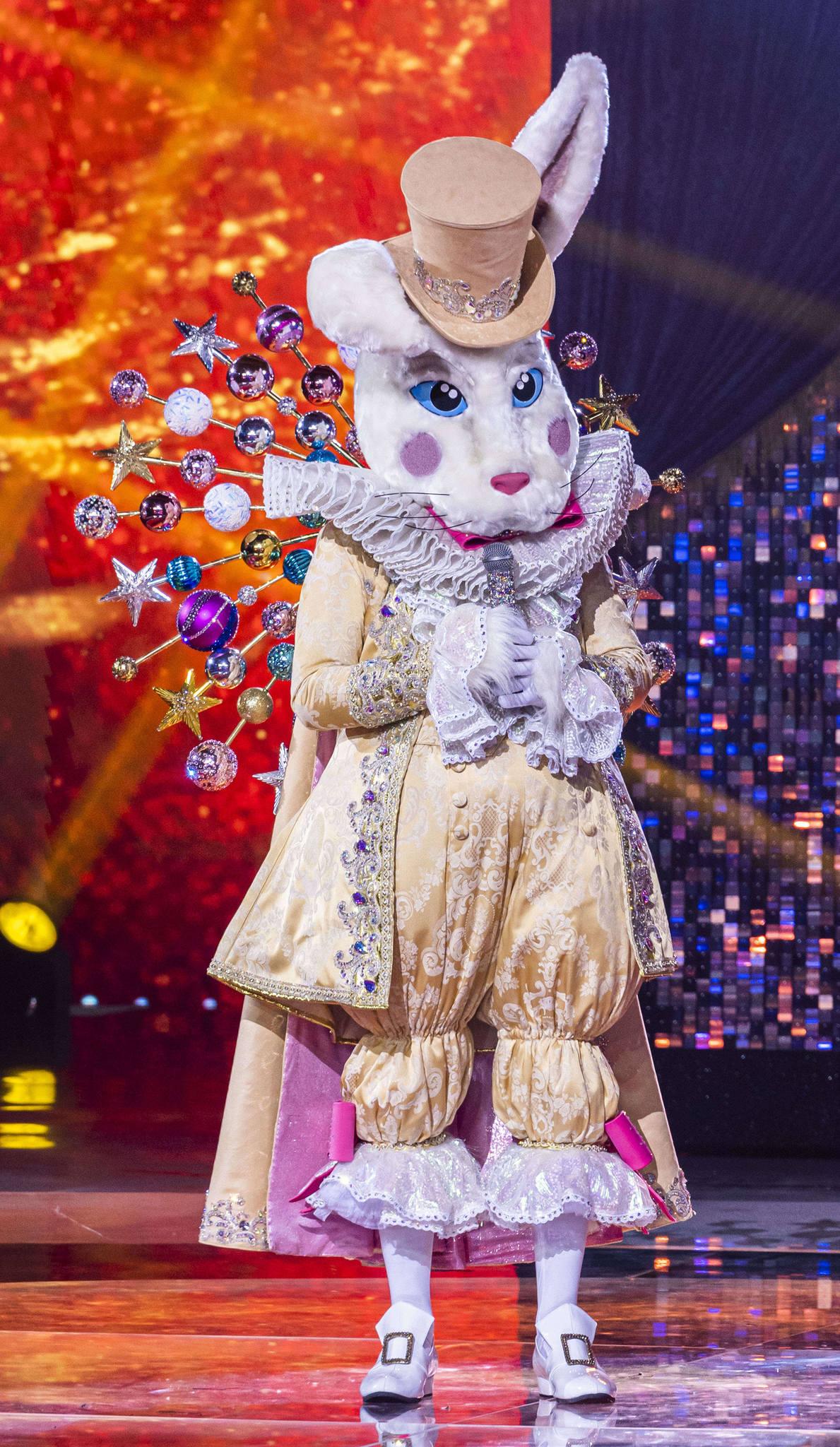 esta é uma imagem do coelho 'the masked singer Brasil'