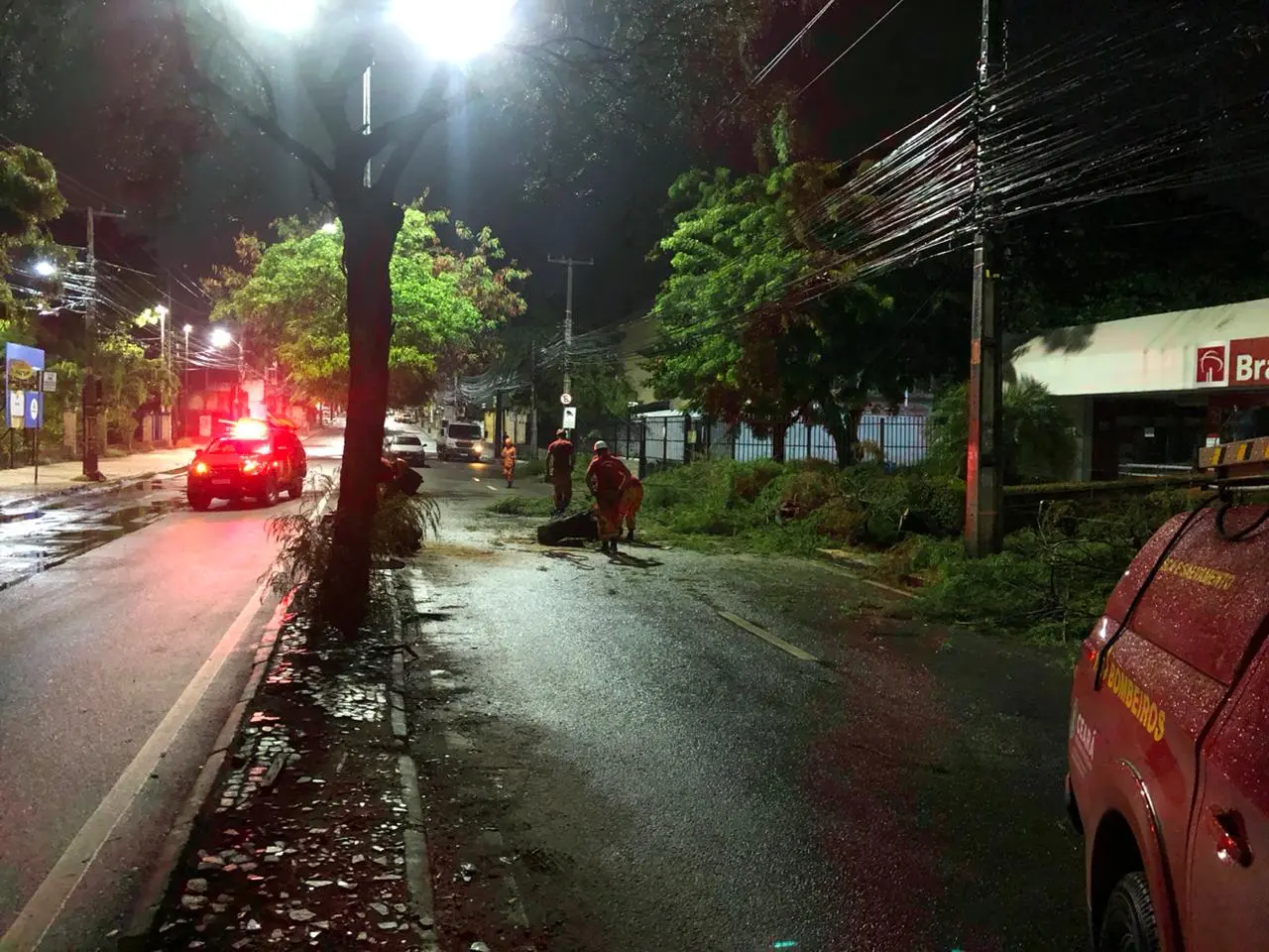 Bombeiros recolhem árvore que caiu e atingiu carro na avenida Pontes Vieira, em Fortaleza, na noite de 24 de janeiro de 2023