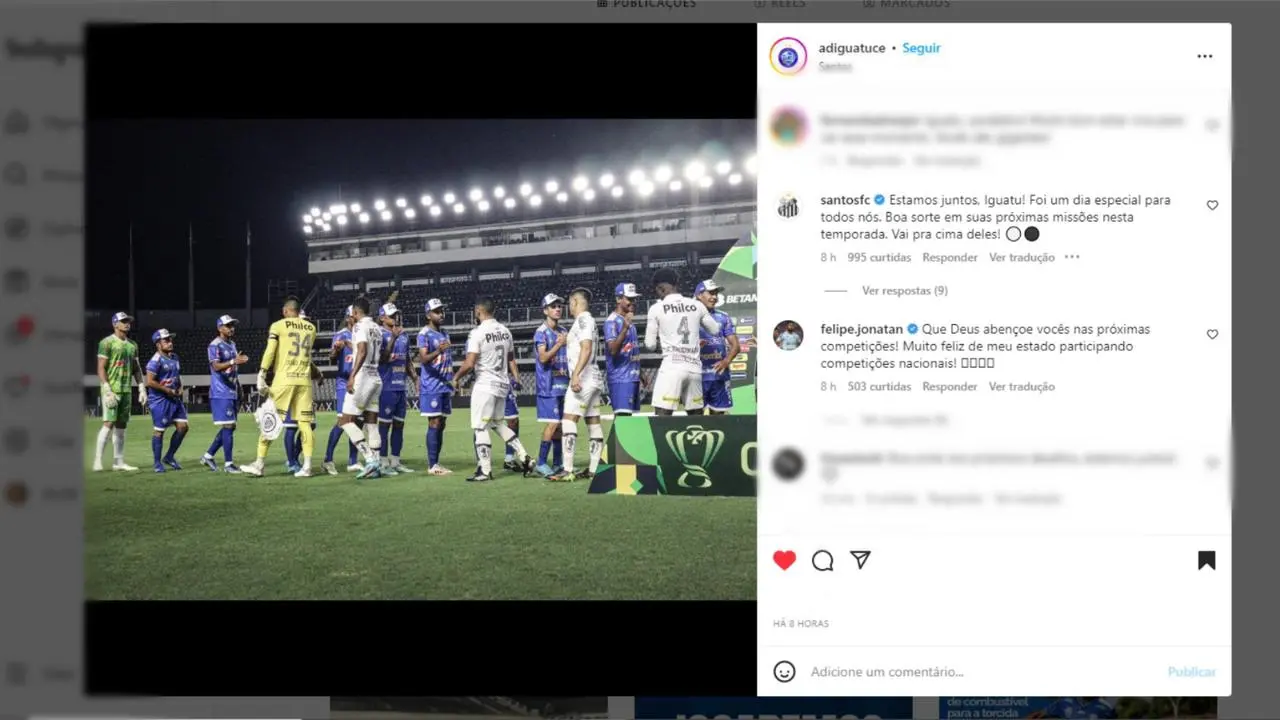 Captura de tela da resposta do Santos