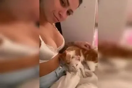Pipokinha teria mostrado gatos em contexto sexual no próprio perfil