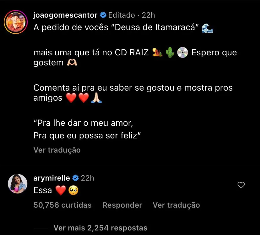 Ary Mirelle comentou em post do cantor com a música feita pra ela