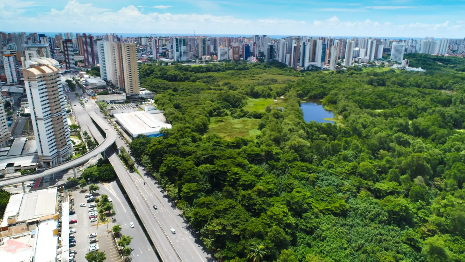 Parque Estadual do Cocó
