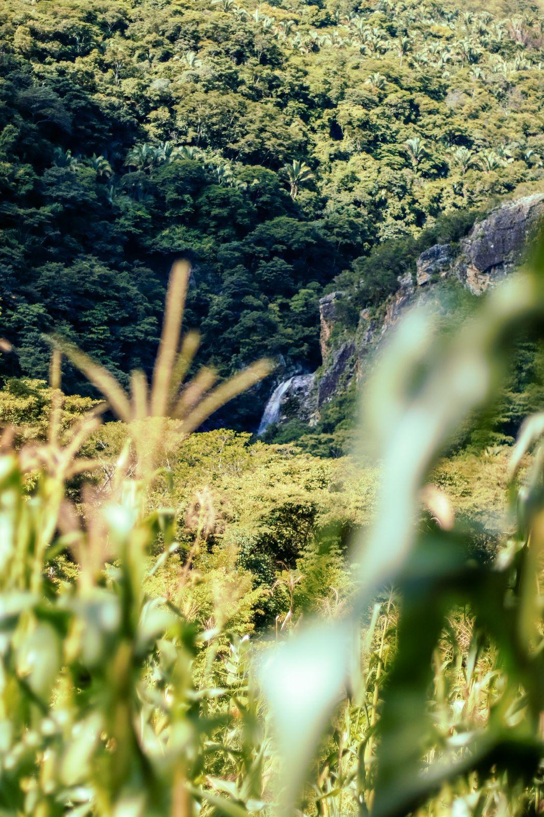 Vista de cachoeira em meio ao Parque Estadual das Carnaúbas, no distrito de Timonha, em Granja