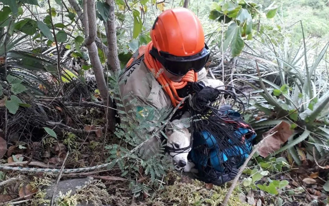 Para o resgate, bombeiros usaram um cabo de prontidão para montar um circuito vertical com descida controlada através do rapel