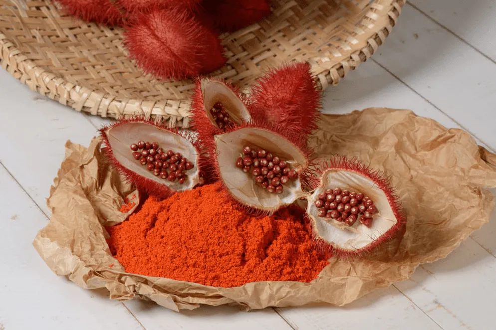 Pó extraído do urucum dá origem ao colorau