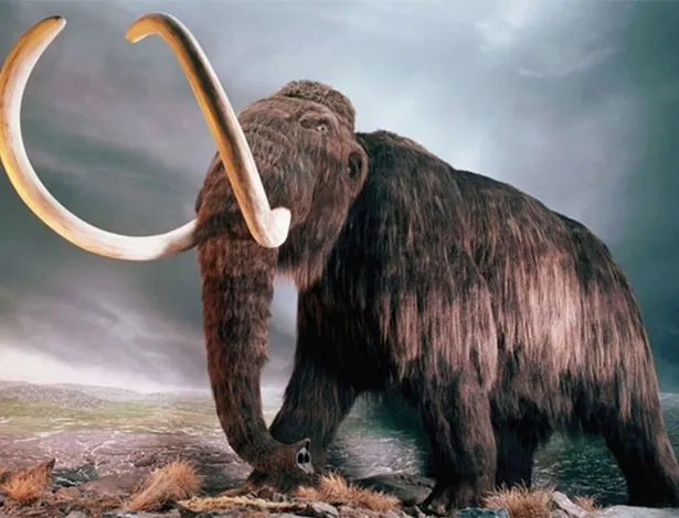 Mastodentes foram extintos há 10 mil anos