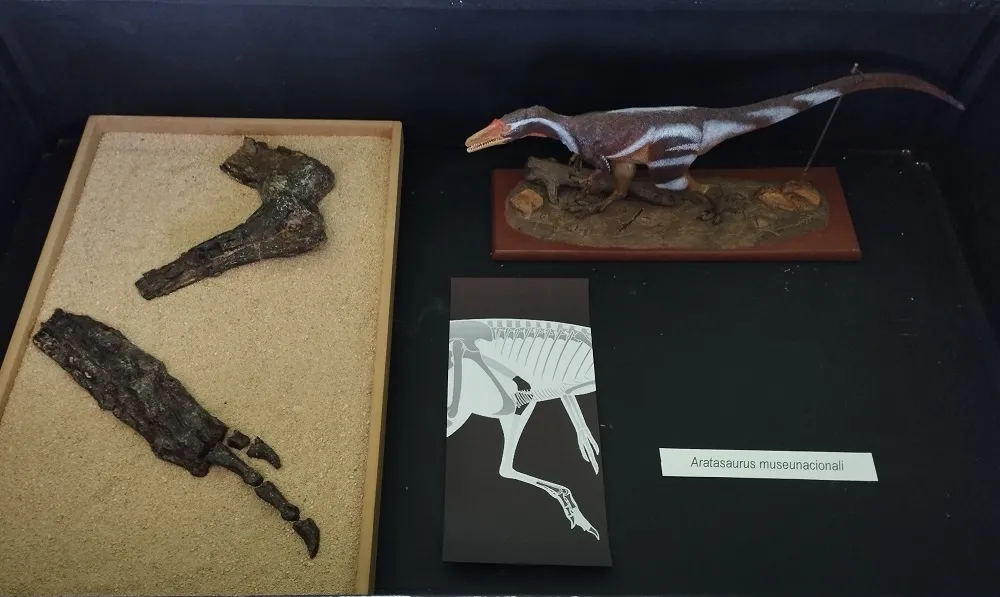 O nome desse fóssil quer dizer “Dinossauro nascido do fogo”