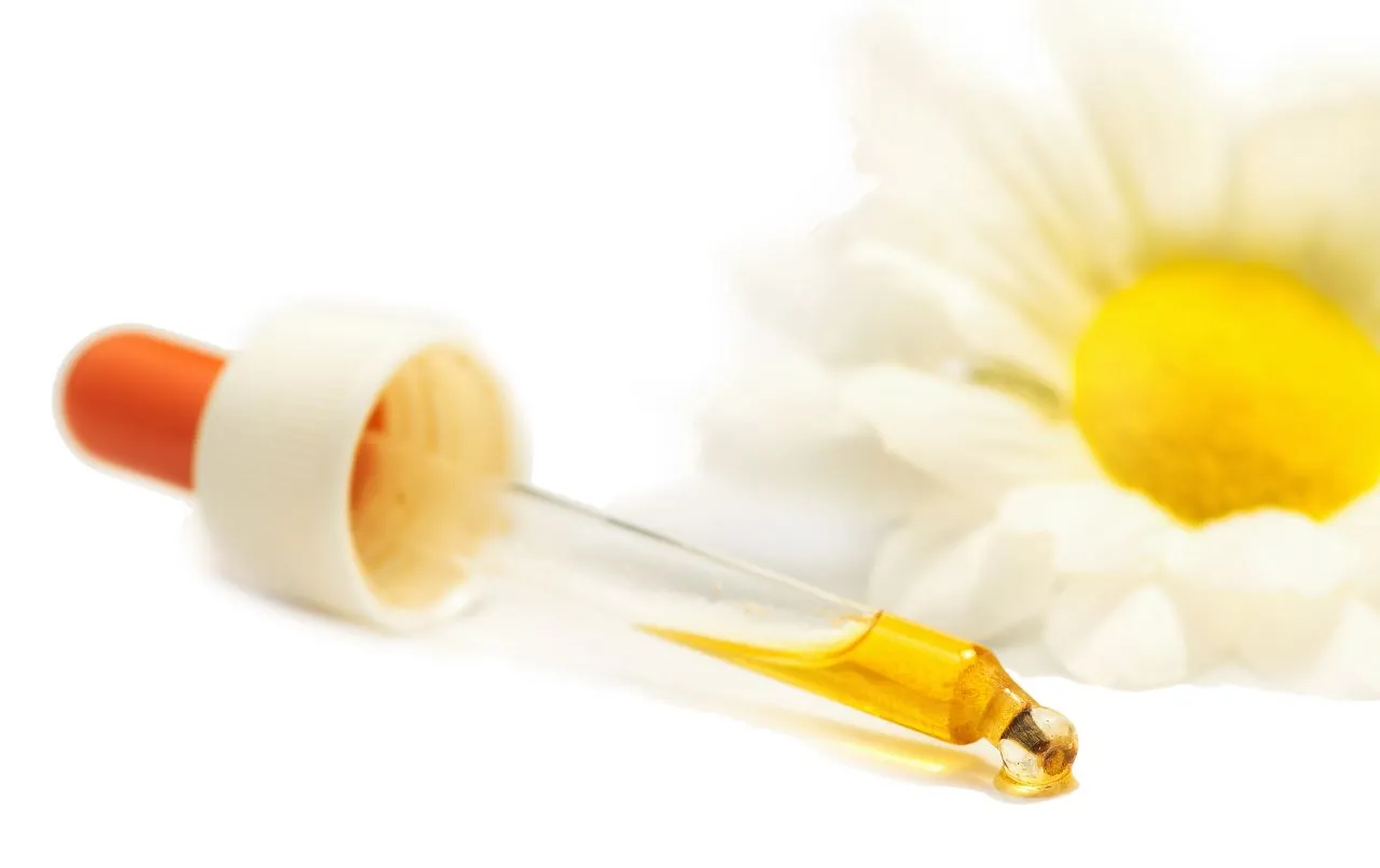 A arnica-verdadeira é encontrada na forma de cremes, gel, pomada e tintura (extrato alcoólico) para uso tópico