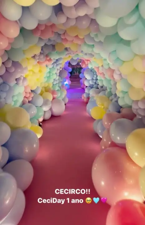 decoração aniversário de 1 ano Cecília Militão