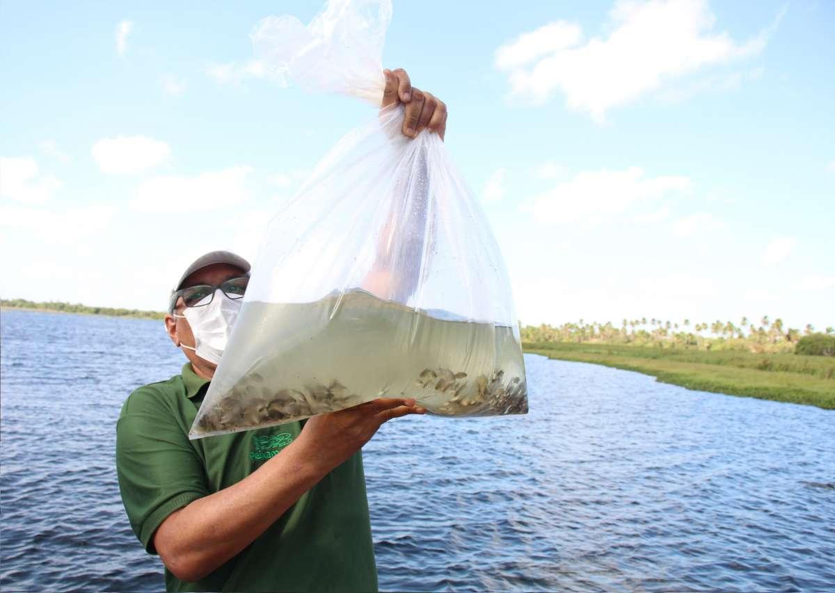 Peixamento, Pesca e Aquicultura, Ceará