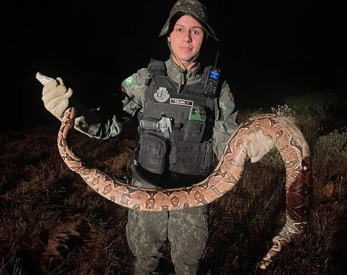 Cobra foi encontrada em residência do bairro Lagoa Redonda