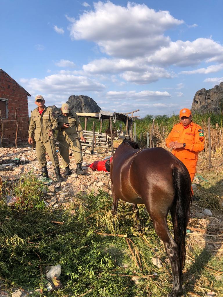 Égua com sinais de maus-tratos é resgatada por bombeiros em cacimba de Quixadá, no Interior do Ceará