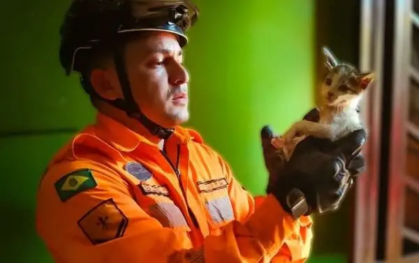 O animal foi resgatado pelos Bombeiros nesse domingo (3)