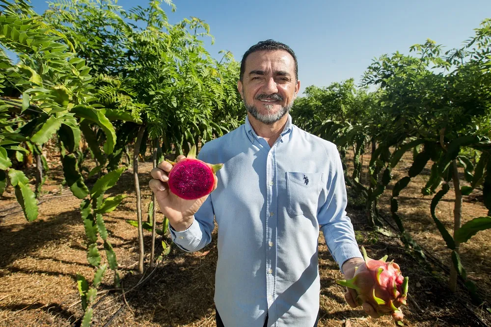 Pitaia, acerola, maracujá, graviola, banana, açaí: mais de 30 culturas diferentes integram propriedade de José Roberto Nogueira