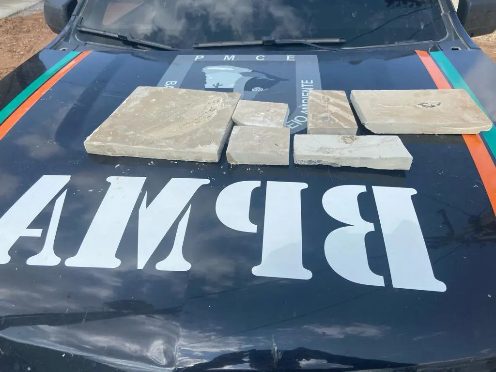 Polícia encontra fósseis em Santana do Cariri