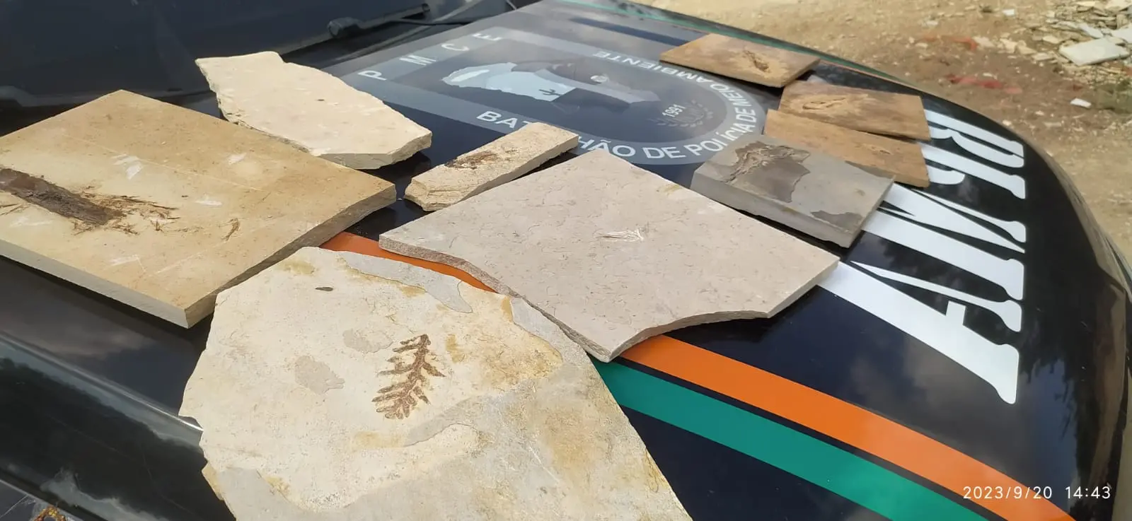 Fósseis, Santana do Cariri, polícia