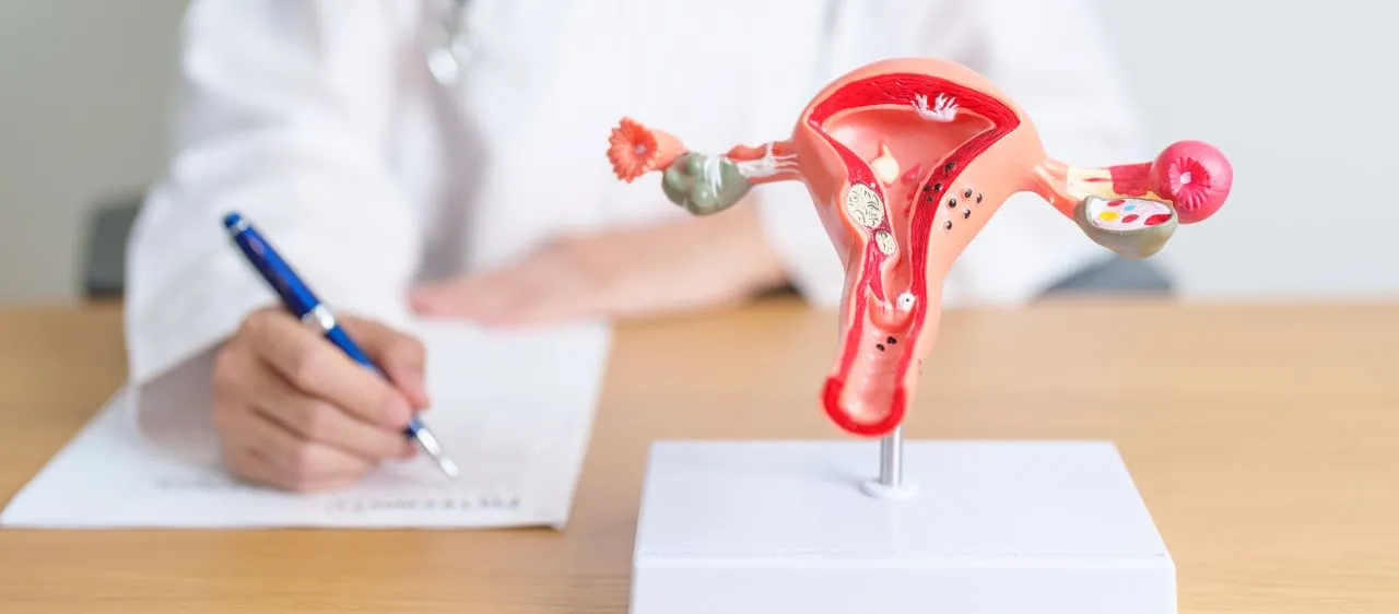 Diagnóstico da pré-menopausa deve ser feito de forma clínica