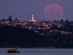 foto da 'Lua da Colheita' vista da Austrália