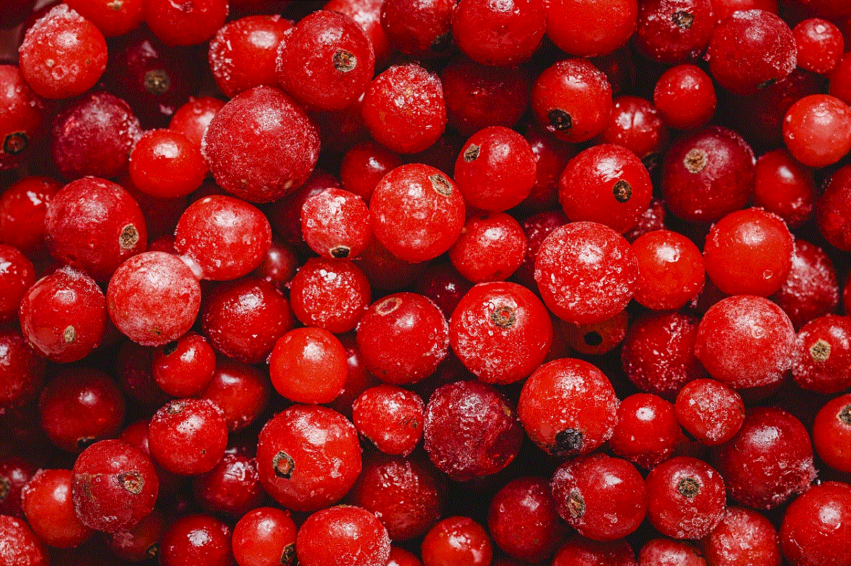 imagem de cranberry fresca