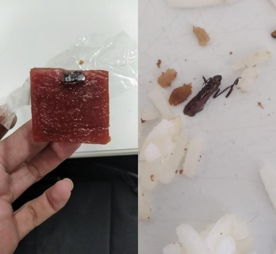 Montagem de insetos em comidas da UFC