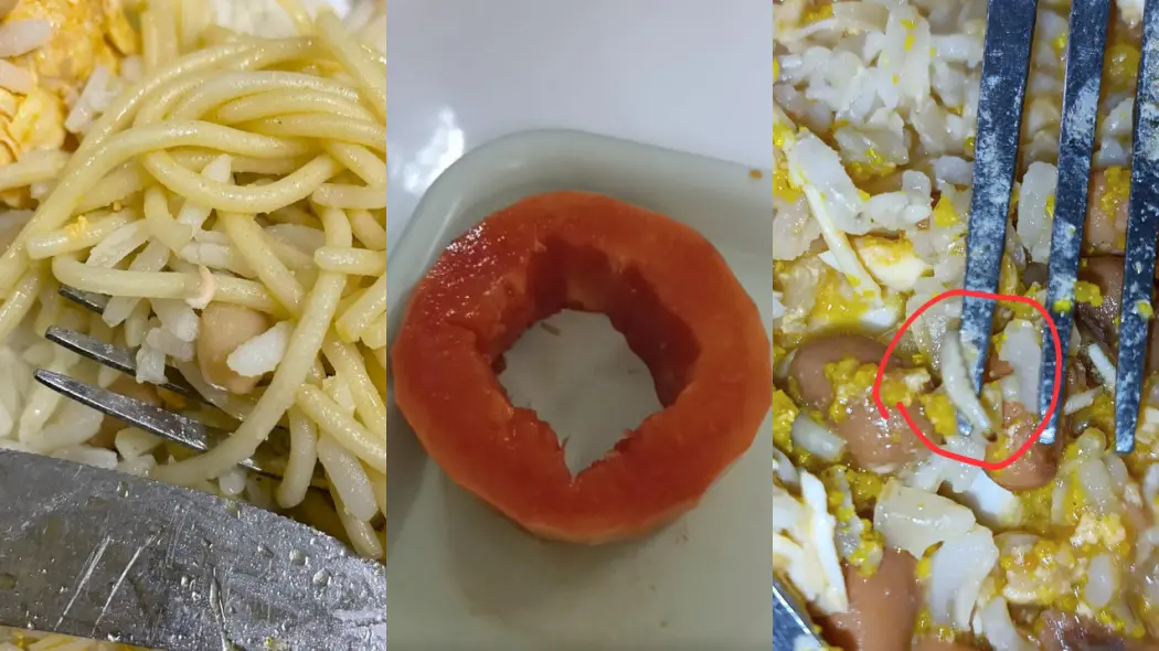 Montagem de três de larvas na comida do RU Quixadá