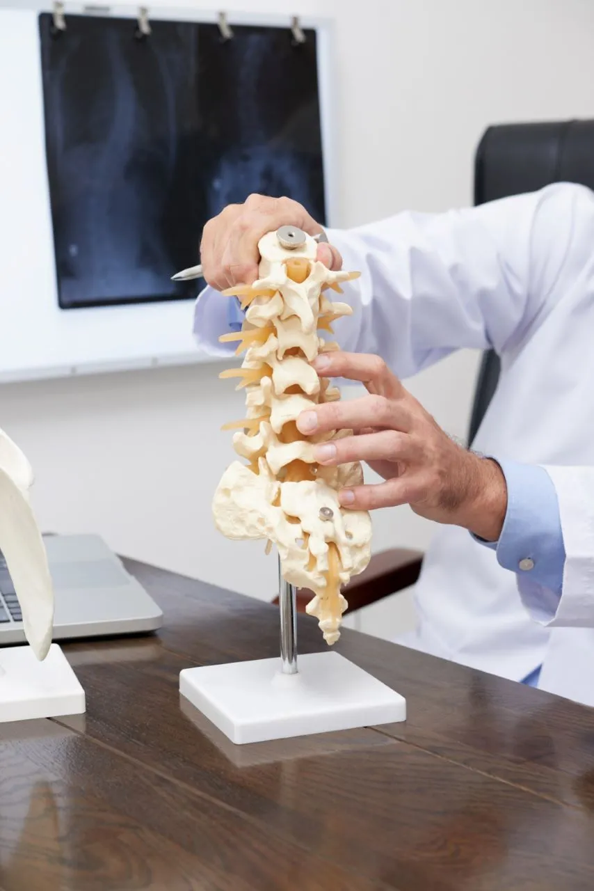 A osteoporose se caracteriza pela perda de densidade mineral e deterioração da microarquitetura óssea