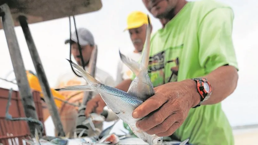 O empreendedorismo é um dos pontos a serem ressaltados com o festival