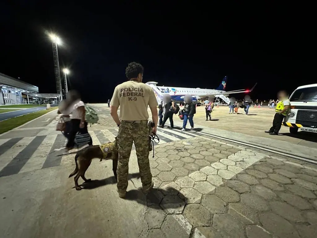 Uso do cão farejador pela Polícia Federal, nas abordagens no Aeroporto de Fortaleza, aumentou em 2023, na comparação com 2022