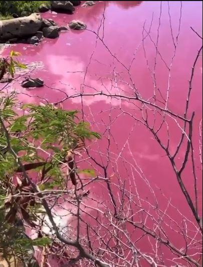 Foto de lago rosa