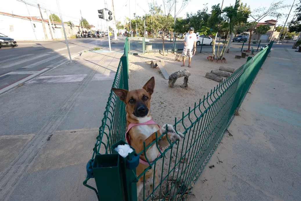 Além de academia e brinquedos naturalizados, o Microparque José Leon conta com um cachorródromo