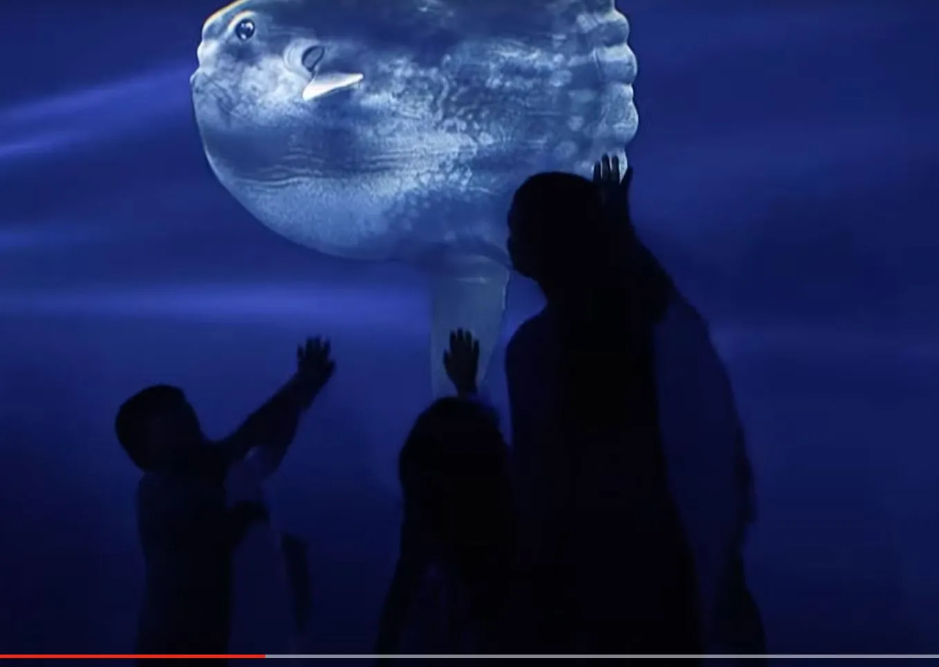 No Centro Tecnológico de Ciências Naturais (CTCN) deve ter exposições de fósseis de acervos da UFC, apresentações de descobertas arqueológicas e astronomia, além de salas de realidade estendida