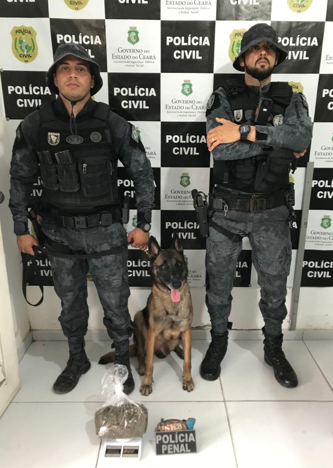 A ação foi realizada pelo Grupo de Ações Penitenciárias (GAP), junto do cão policial