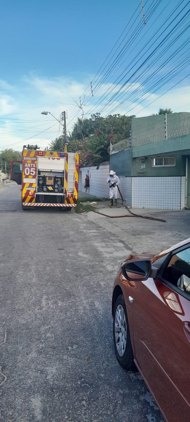 bombeiros tentando salvar cachorros de ataque de abelha