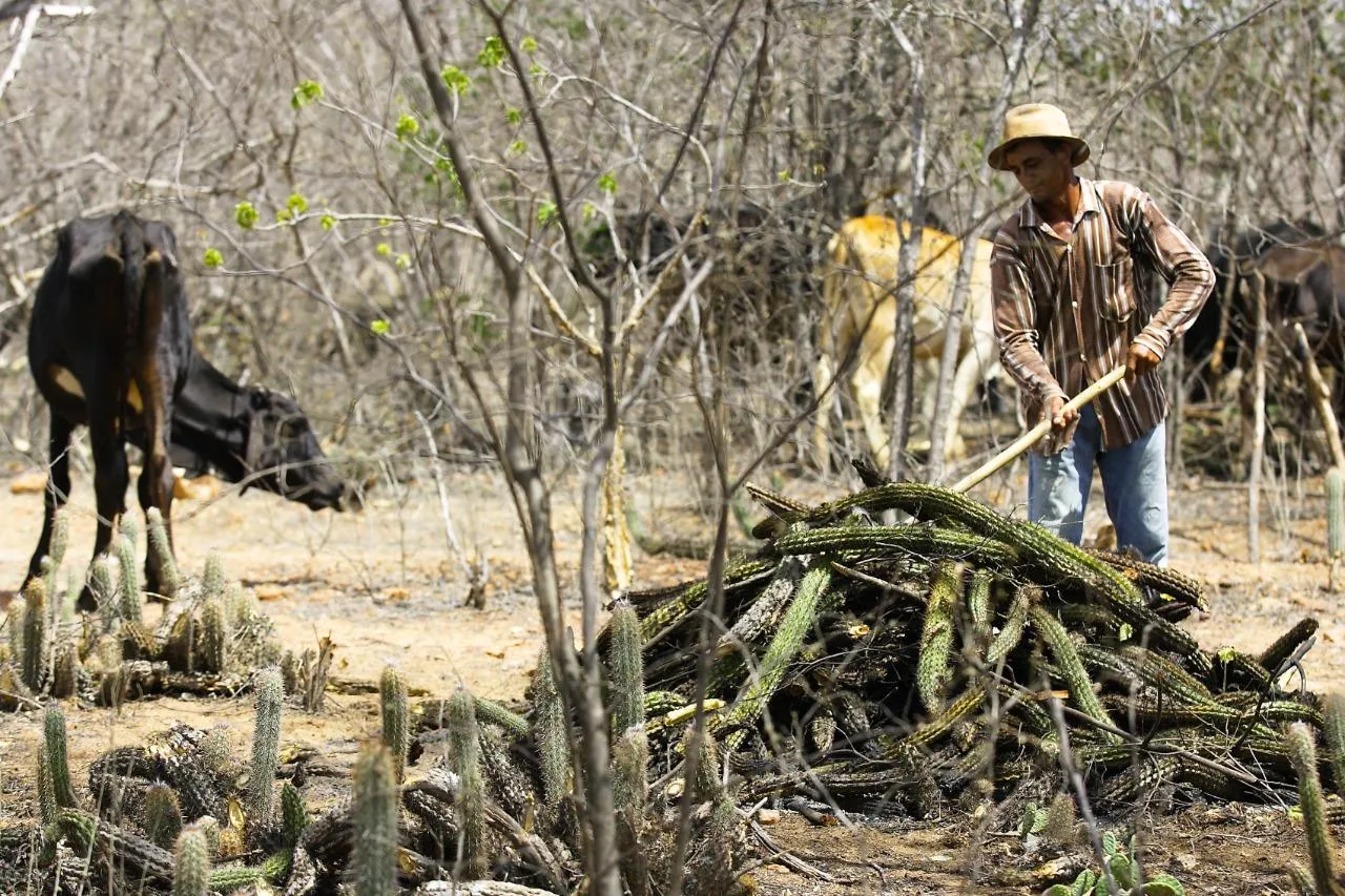 A vice-governadora do Ceará, Jade Romero, afirmou uma série de anúncios do plano de mitigação da seca devem ser anunciadas pelo governador Elmano de Freitas